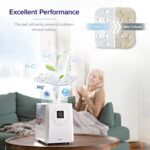 Levoit Humidifier Descaling Pads (10-Pack) - Image 2